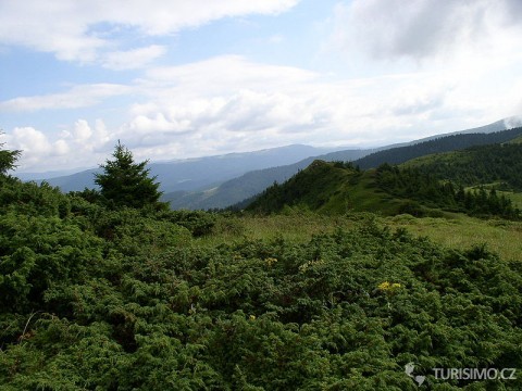 Karpaty, autor: EugeneZelenko